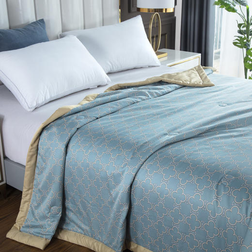 【欧典梦娜】格调水洗真丝夏被 商品图0