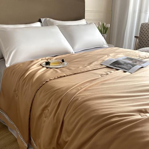 【欧典梦娜】轻奢羽梦蚕丝美肤被 商品图6