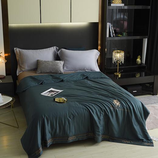 【欧典梦娜】查尔斯蚕丝美肤被 商品图2