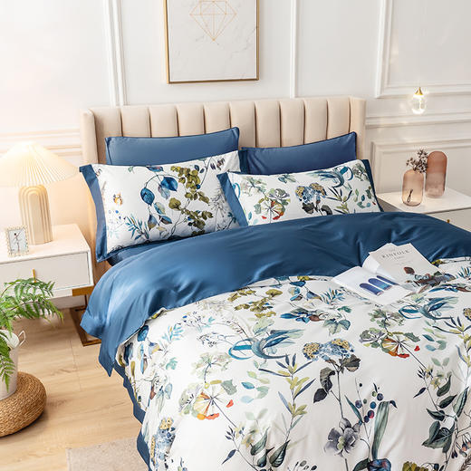 【欧典梦娜】伊美莎天丝四件套 商品图1