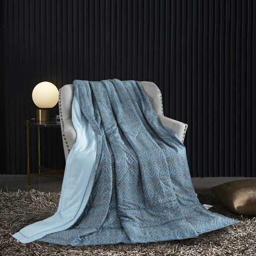 【欧典梦娜】艾米玻尿酸美颜被 商品图6