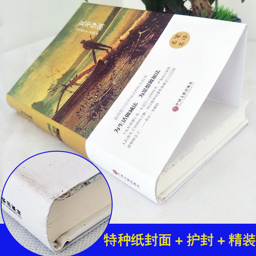 精装《瓦尔登湖》全译本世界经典文学小说名著初中生高中学生推荐书籍外国经典小说全中文完整版图书课外知识读物正版书籍（限量500本） 商品图2
