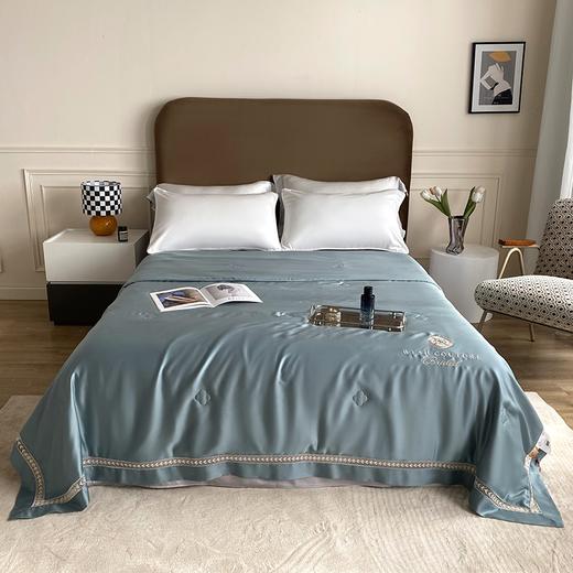 【欧典梦娜】轻奢羽梦蚕丝美肤被 商品图1