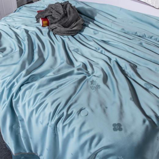 【欧典梦娜】四叶草蚕丝养肤被 商品图3