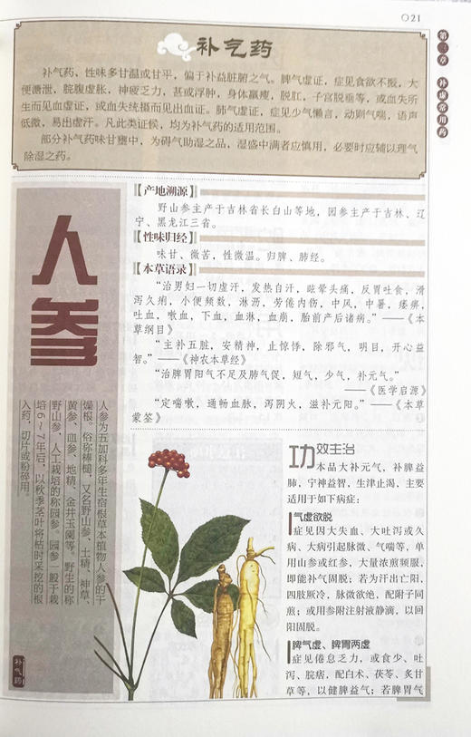 中医入门一看就懂 张振 编 中医学书籍入门基础理论 中药养生方剂验方养生保健 中医古籍出版社9787515222264 商品图4