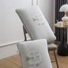 【欧典梦娜】艾草纤维美眠枕 商品缩略图8