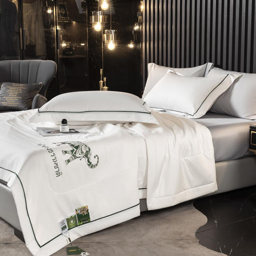 【欧典梦娜】泰国皇家乳胶被 商品图2