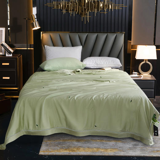 【欧典梦娜】清风丽影凉茶夏被 商品图10