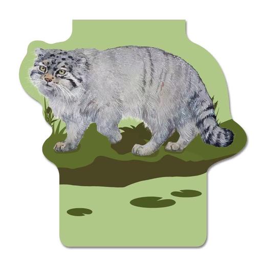 中信出版 | 中国大猫 吕植著 商品图2