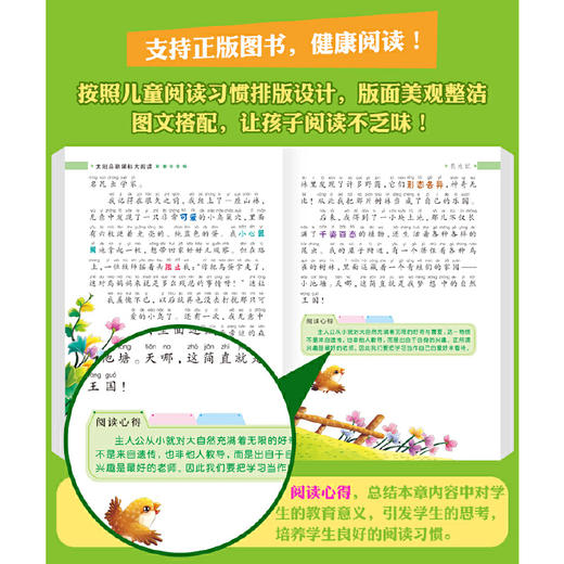 昆虫记 注音版小学生一二三年级课外书6-8-10岁带拼音无障碍阅读 商品图2