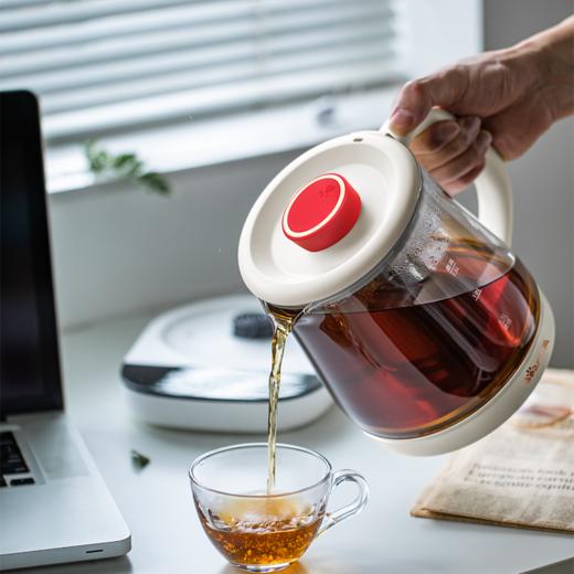 小熊电器 YSH-D15F2   电热水壶（养生壶）1.5L 商品图3