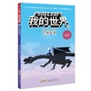 我的世界·冒险故事图画书.24.打败巫师 商品缩略图0