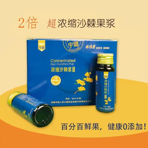 有机沙棘原浆浓缩果饮 30ml*8支丨基地直发 商品图3