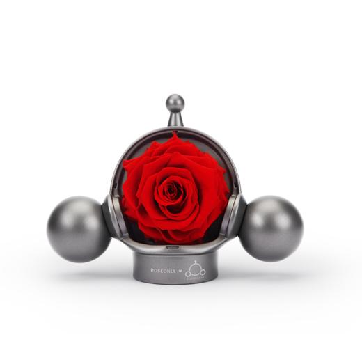 【泡泡玛特】ROSEONLY诺誓 ❤ SKULL PANDA 联名向爱玫瑰永生花	礼盒 送爱人礼物 商品图0