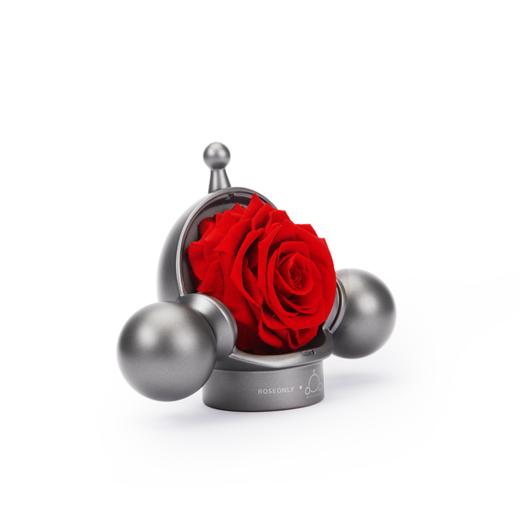 【泡泡玛特】ROSEONLY诺誓 ❤ SKULL PANDA 联名向爱玫瑰永生花	礼盒 送爱人礼物 商品图2