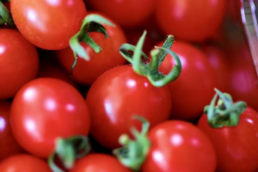 樱桃番茄-釜山88 礼盒 商品图0