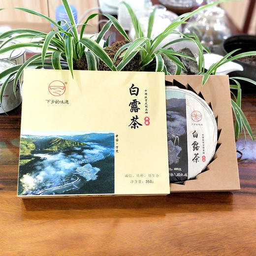下党白茶  白露茶  350g/饼 商品图1