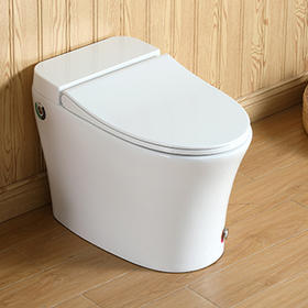 3005S半智能连体坐便器 -全白（脚感冲水）脉冲马桶 脲醛盖板