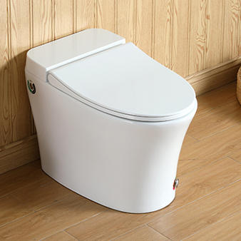 3005S半智能连体坐便器 -全白（脚感冲水）脉冲马桶 脲醛盖板 商品图0