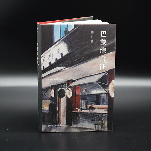 巴黎综合征 西闪 著 社会学 商品图2