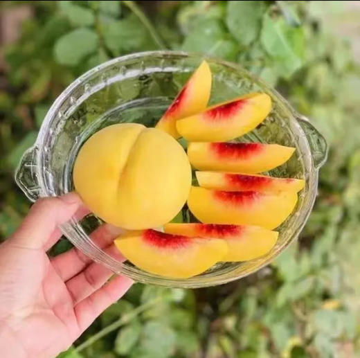 江陵三湖农场桃皇礼盒精品装350g-400g*8个 商品图6