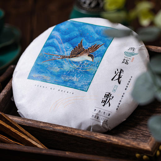 浅歌（生普） 商品图0