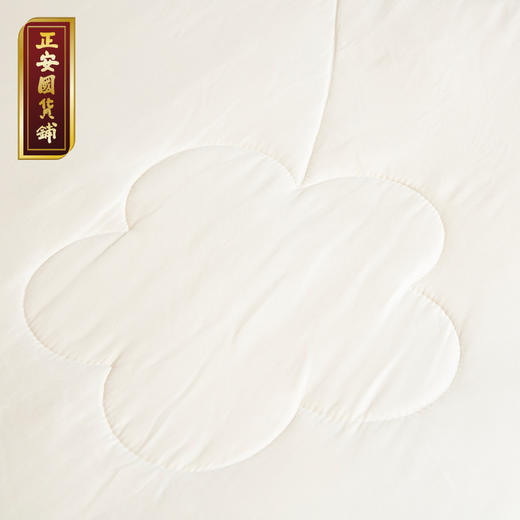 正安 艾绒被 双人家用艾绒棉被养身保暖透气 失眠正阳睡眠家居中式家纺新家送父母长辈 艾绒被子 商品图3