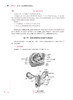 围生期健康评估 第2版 十四五规划教材全国高等学校教材 供本科助产学专业 罗碧如李宁 本科护理人民卫生出版社9787117329002 商品缩略图4