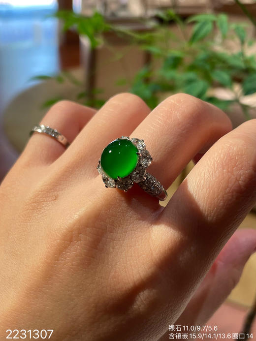 2231307，高冰艳绿蛋面戒指。具体价格微信咨询 商品图5