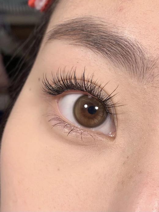 Yukicon 镜面光 日抛 10片 14.2mm 参考着色13.2mm 基弧8.5 含水50% 新锐国货 商品图1