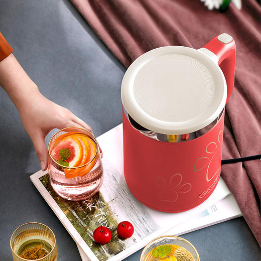 小熊电器 ZDH-Q15A9 电热水壶1.5L  大功率 商品图0