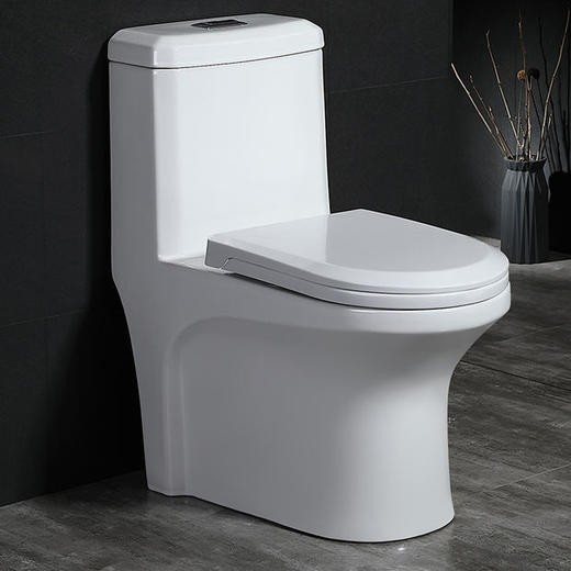 0322 8D大管道马桶【非申泉品牌】 商品图0