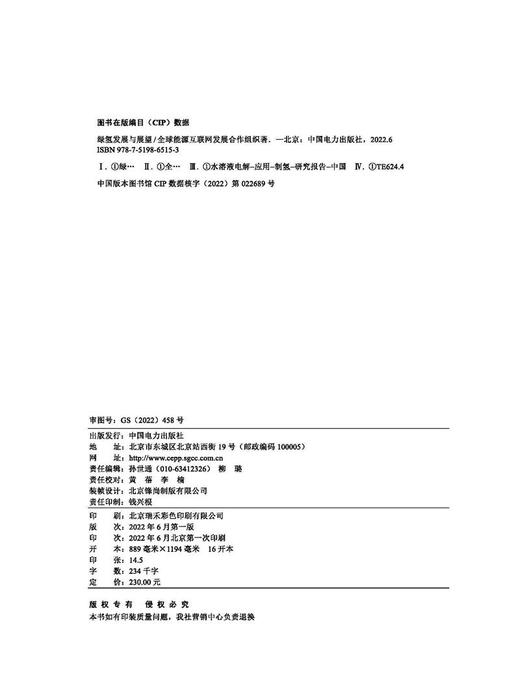 绿氢发展与展望 商品图3