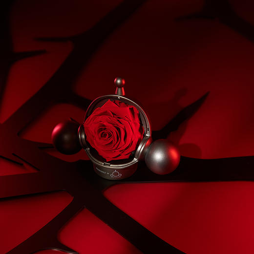 【泡泡玛特】ROSEONLY诺誓 ❤ SKULL PANDA 联名向爱玫瑰永生花	礼盒 送爱人礼物 商品图4