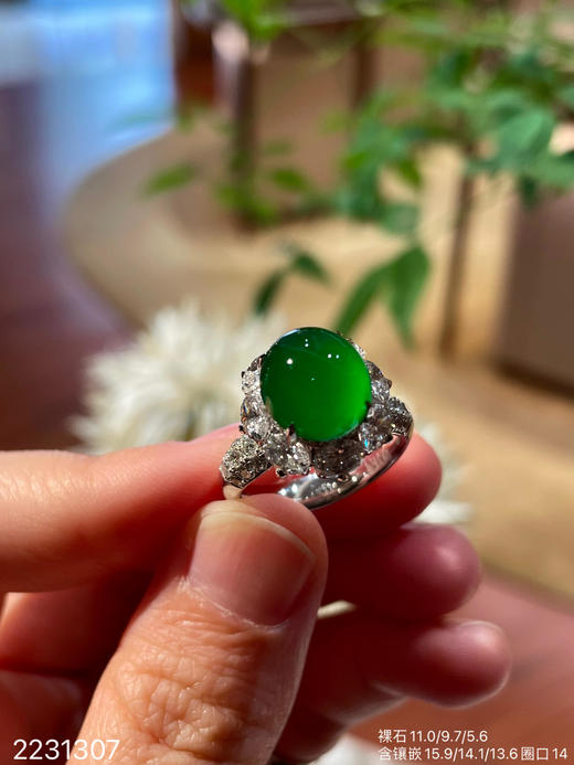2231307，高冰艳绿蛋面戒指。具体价格微信咨询 商品图0