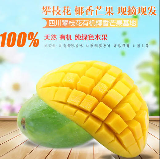 攀枝花椰香芒果（5斤/8斤） 商品图1