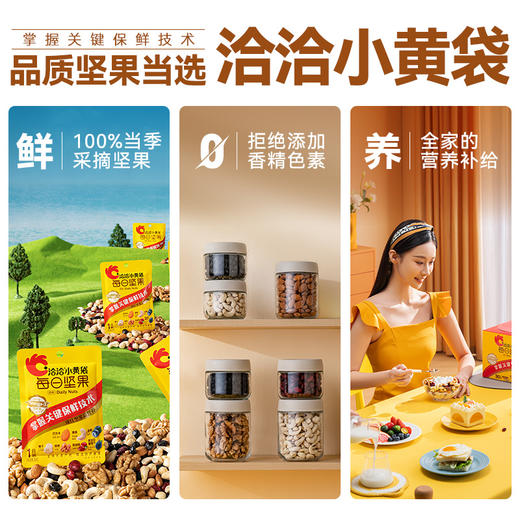 【原色原香】洽洽小黄袋每日坚果 恰恰 干果坚果 中秋礼盒 品质甄选 营养均衡 商品图1