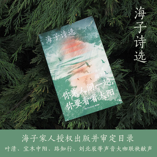 【博集】海子诗选：你来人间一趟，你要看看太阳 商品图1