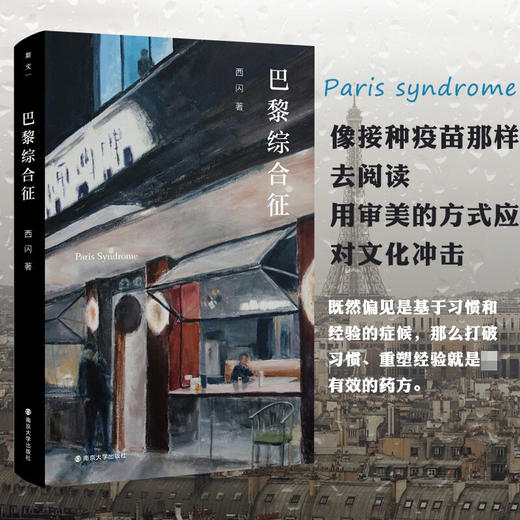 巴黎综合征 西闪 著 社会学 商品图1