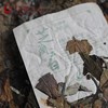 2023芝兰云白自有基地纯料古树白茶珍品稀缺带编码无掺杂 商品缩略图2