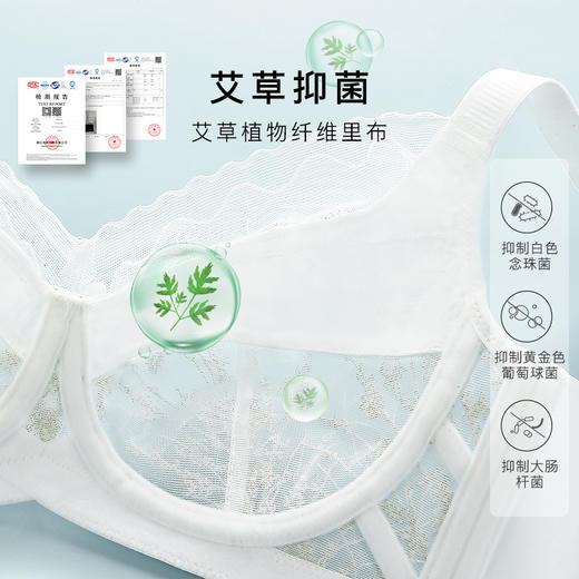 梦芭蒂艾草抑菌内衣女夏季超薄款文胸大胸显小无钢圈胸罩追光精灵 商品图1