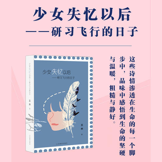 少女失忆以后——研习飞行的日子 商品图1