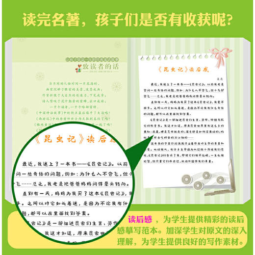 昆虫记 注音版小学生一二三年级课外书6-8-10岁带拼音无障碍阅读 商品图3