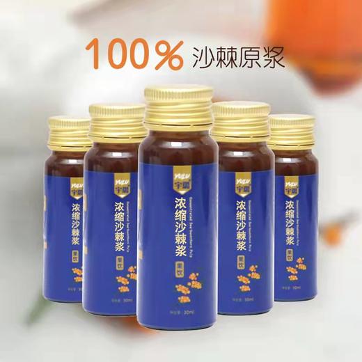 有机沙棘原浆浓缩果饮 30ml*8支丨基地直发 商品图1