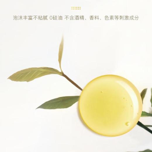 丽酷优特橘香依保湿洗发露500ml   泡沫细腻、洗净力强、自然橙香、易冲洗 商品图2