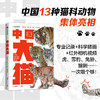 中国大猫：用科普笔记的形式，介绍中国13种野生猫科动物以及人们发现、研究和保护它们的精彩故事 商品缩略图0
