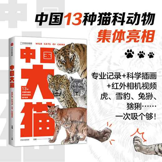 中国大猫：用科普笔记的形式，介绍中国13种野生猫科动物以及人们发现、研究和保护它们的精彩故事 商品图0