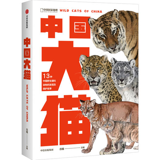 中国大猫：用科普笔记的形式，介绍中国13种野生猫科动物以及人们发现、研究和保护它们的精彩故事 商品图1