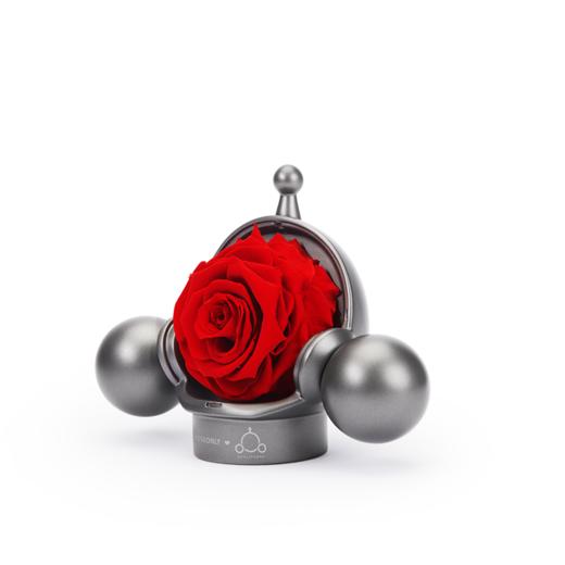 【泡泡玛特】ROSEONLY诺誓 ❤ SKULL PANDA 联名向爱玫瑰永生花	礼盒 送爱人礼物 商品图3