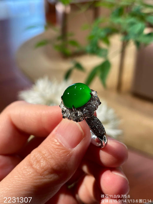 2231307，高冰艳绿蛋面戒指。具体价格微信咨询 商品图2